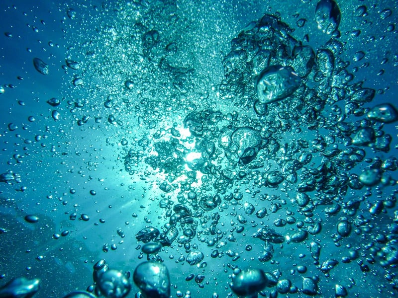 Exploring the Underwater World